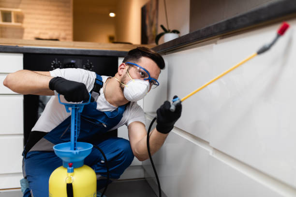 Flea Control Services in Dyer, TN