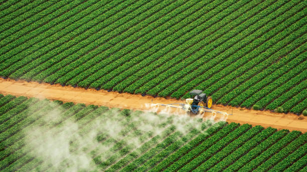 Best Commercial Pest Control Services  in Dyer, TN
