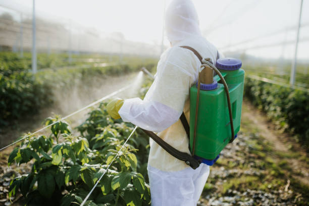 Best Mosquito Control Services  in Dyer, TN